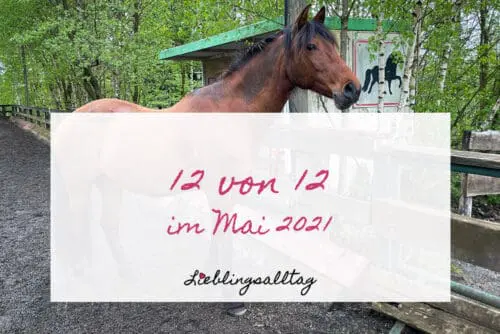 12 von 12 im Mai 2021