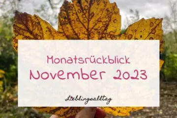 Monatsrückblick November 2023
