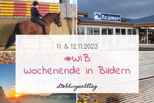 WIB - Wochenende in Bildern 11. & 12.11.2023