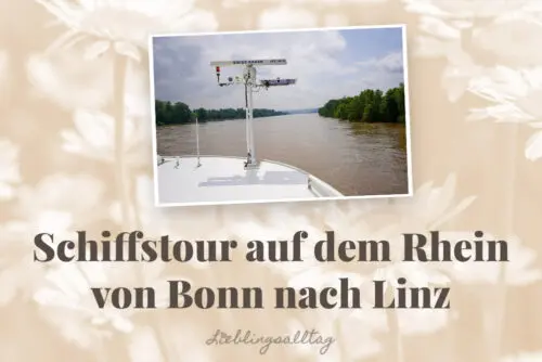 Schiffstour auf dem Rhein von Bonn nach Linz