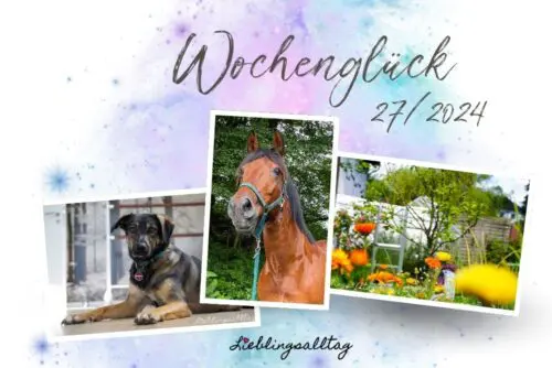 Wochenglück 27/2024