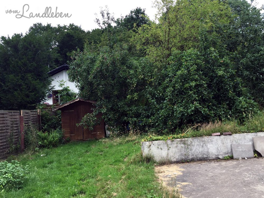 Unser Grundstück - Juli 2015