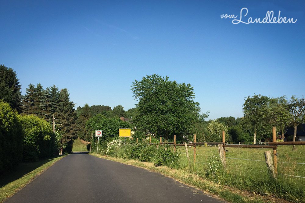 Rechts hinter der Weide, auf Höhe des Ortsschilds, beginnt unser Grundstück