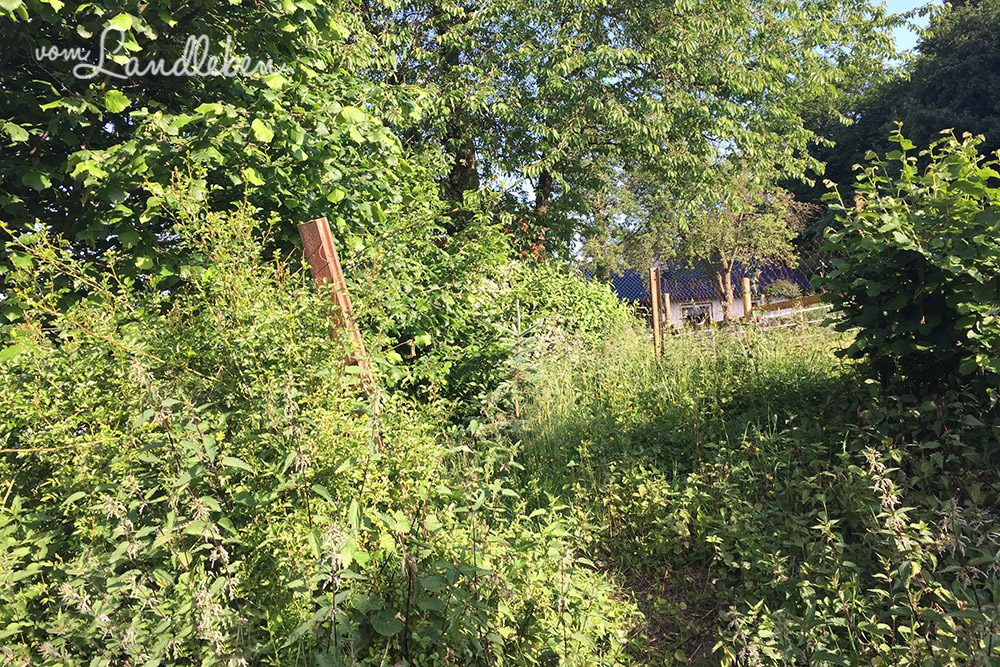 Blick von der Straße auf's Grundstück...