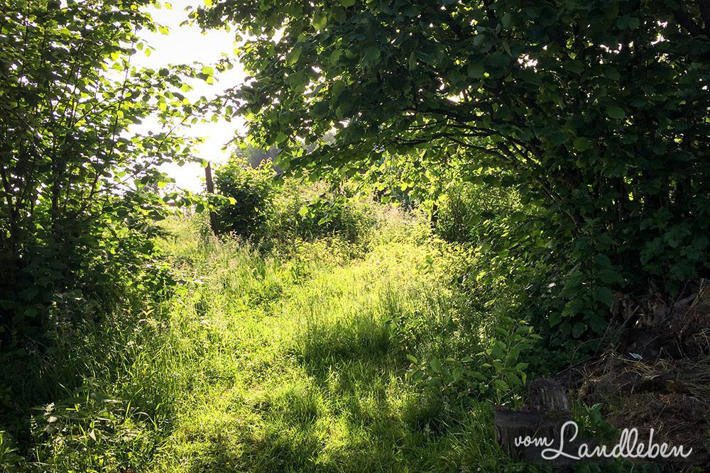 ... und umgekehrt vom Grundstück auf die Straße