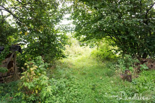 Unser Baugrundstück im September 2015