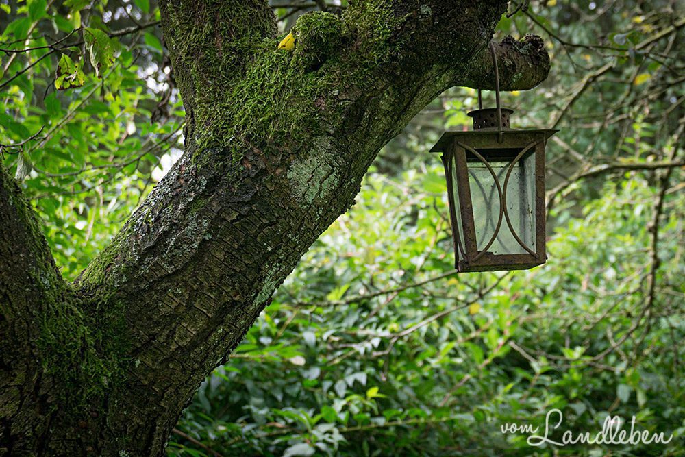 Unser Grundstück im September 2015