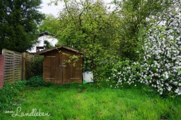 Unser Grundstück im Mai 2016