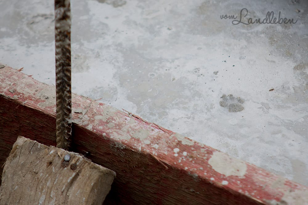 Kellerbau mit glatthaar - Projekt Hausbau