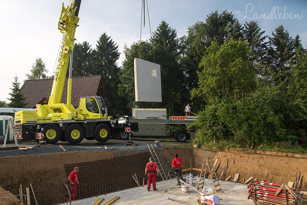 Kellerbau mit glatthaar - Projekt Hausbau