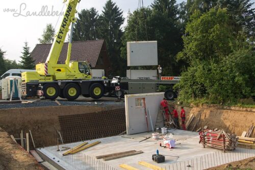 Kellerbau mit glatthaar