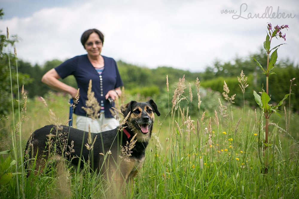Unser Grundstück - Juli 2016