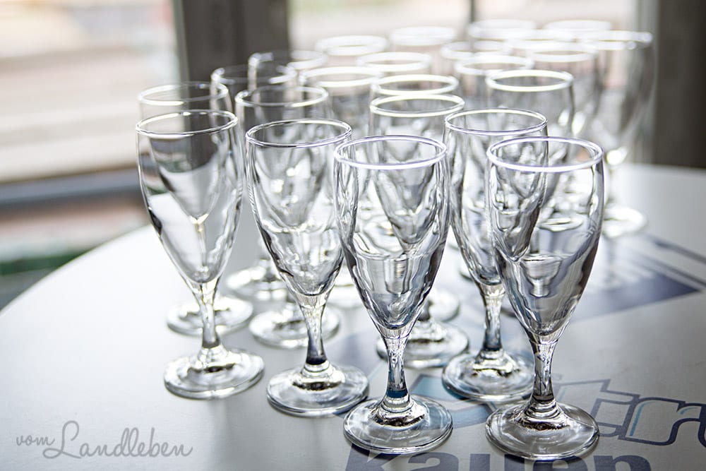 Hausbau mit Danhaus: Richtfest