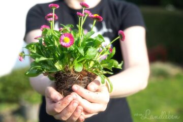 Gartenarbeit