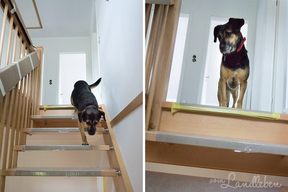 Hausbau mit Danhaus: Treppe von Derstappen