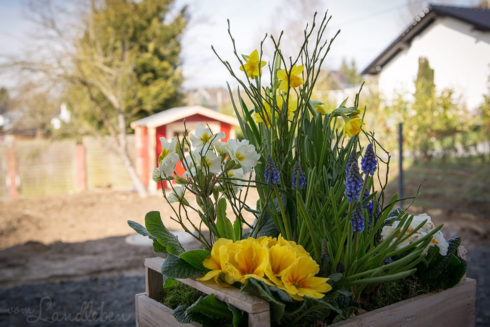 Unser Garten im Februar 2017