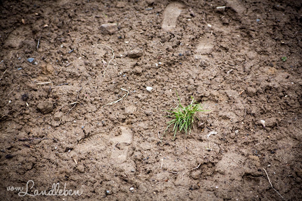 Unser Garten im Februar 2017