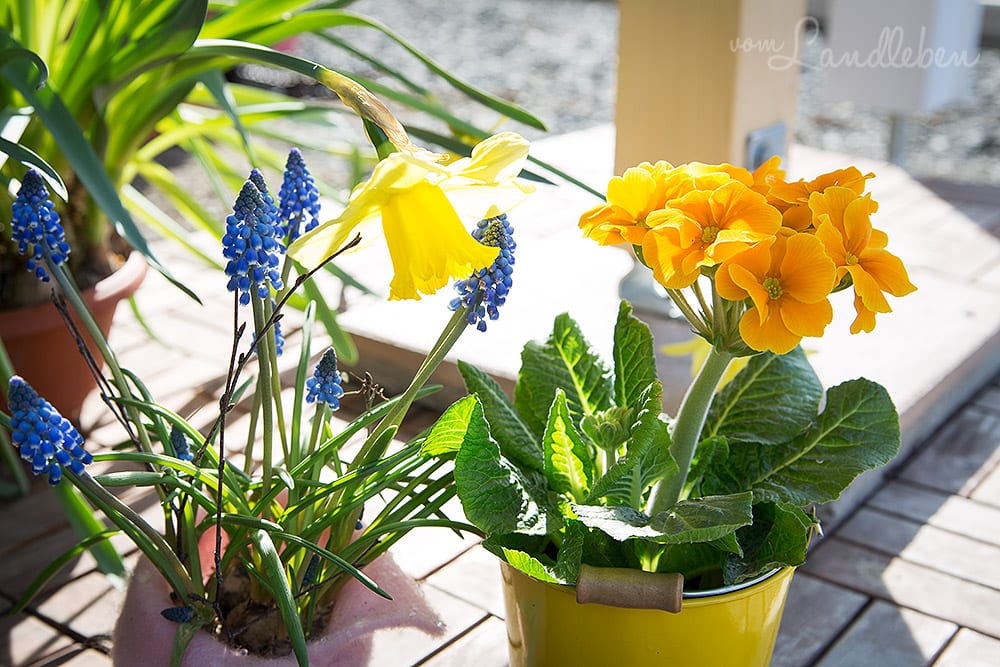 Gartenguckloch im Februar 2017