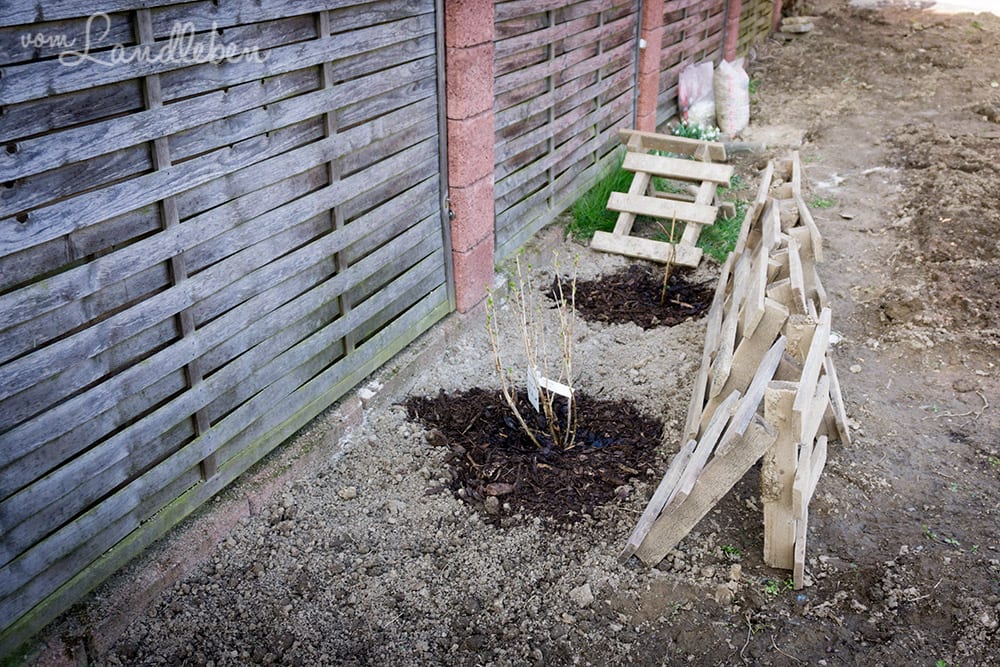 Gartenguckloch - unser Garten im März 2017