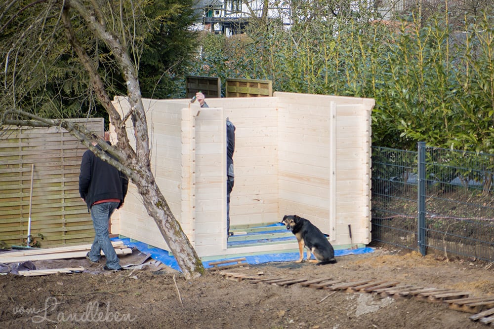 Unser Gartenhaus - Aufbau und Anstrich