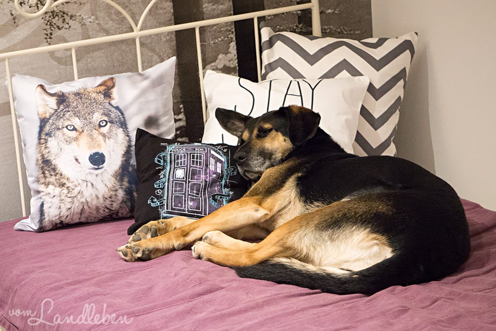 Roomtour in unserem Danhaus: mein Arbeitszimmer