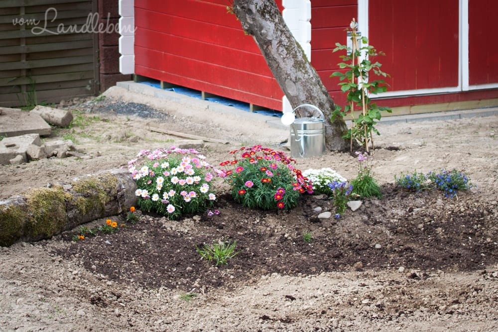 Beet an der Mulde - April 2017