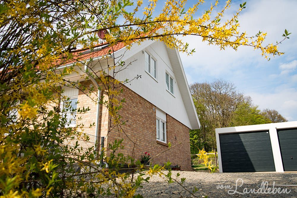 Die ersten 3 Monate im Danhaus