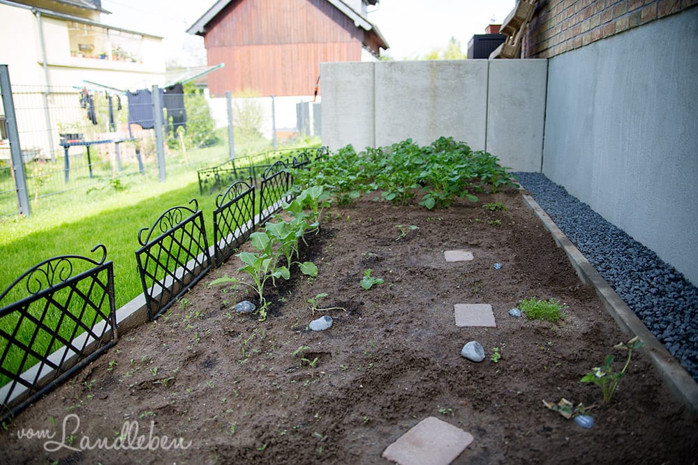 Gartenguckloch im Mai 2017 - Gemüsebeet
