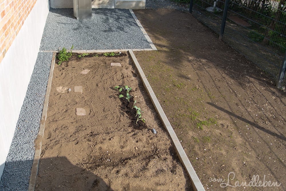 Gartenguckloch im Mai 2017 - Gemüsebeet