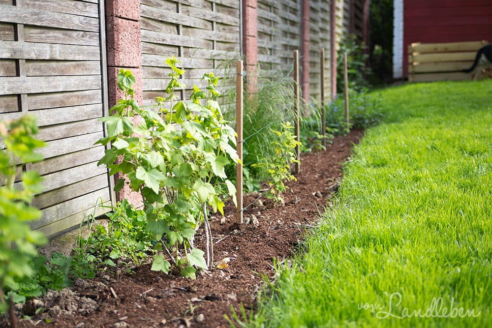 Gartenguckloch im Mai 2017 - Obststräucher