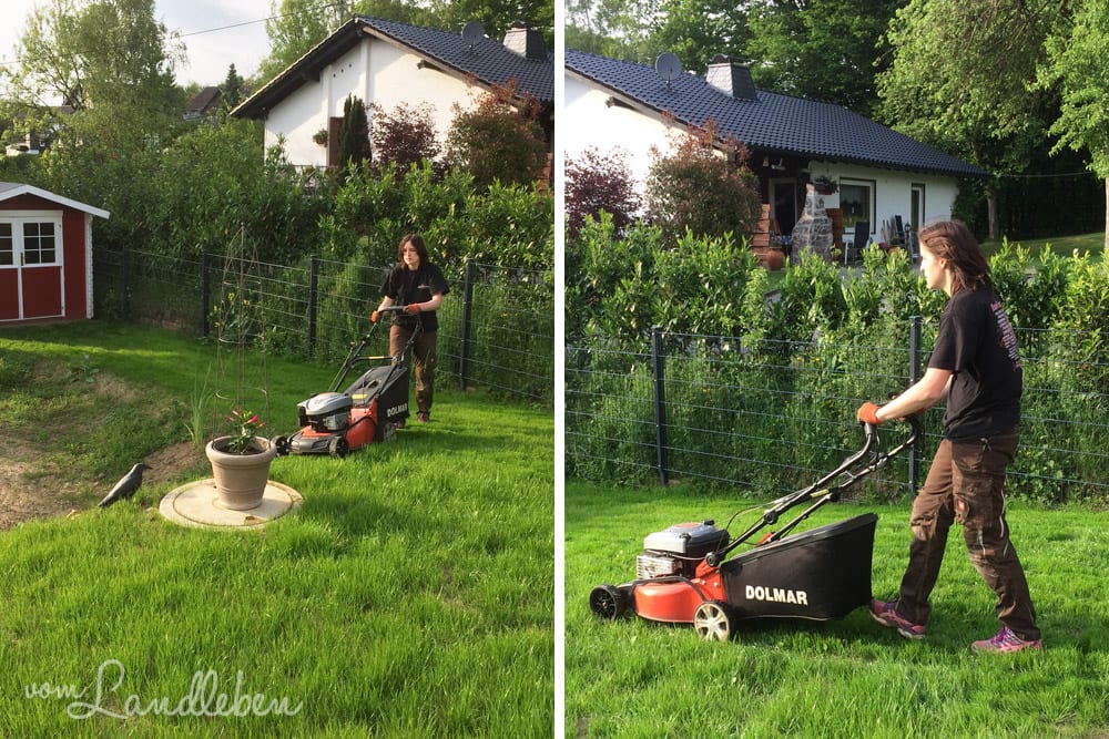 Das erste Mal Rasenmähen in unserem Garten