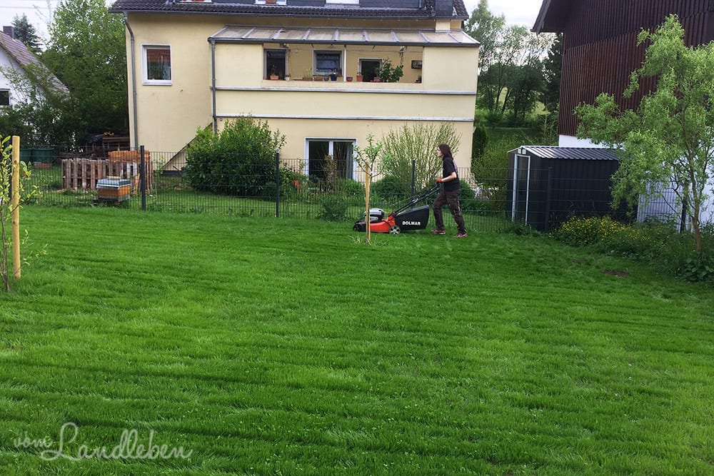 Das erste Mal Rasenmähen in unserem Garten