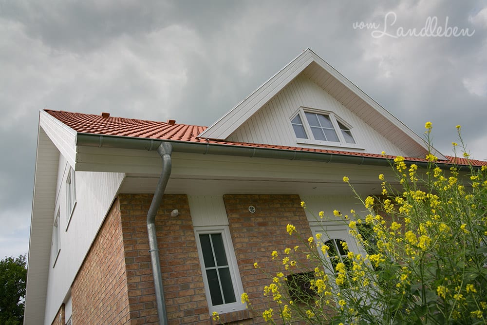 Unser Gartenguckloch im Juni 2017