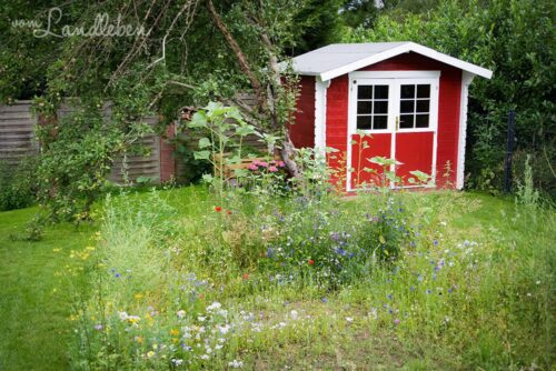 Gartenguckloch im Juni 2017