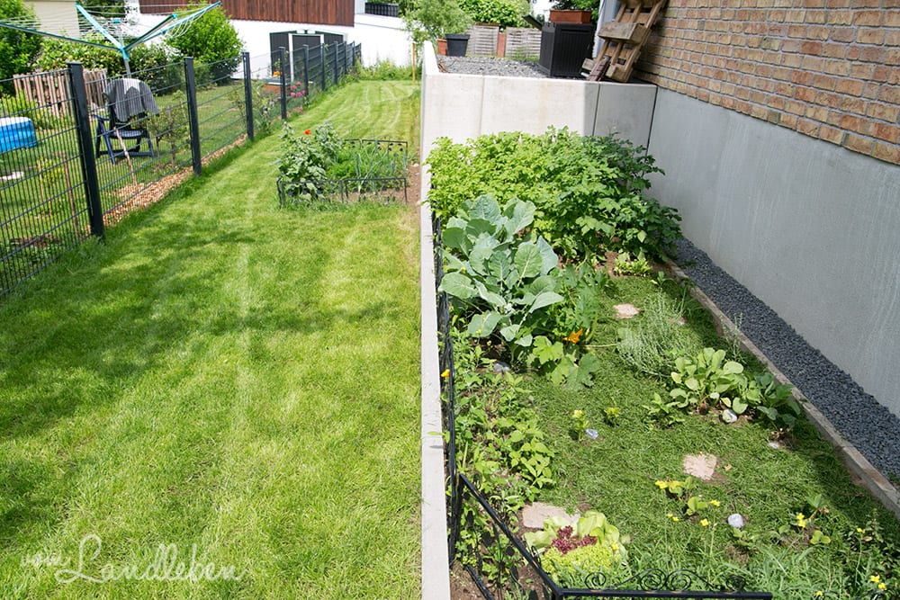 Unser Gartenguckloch im Juni 2017