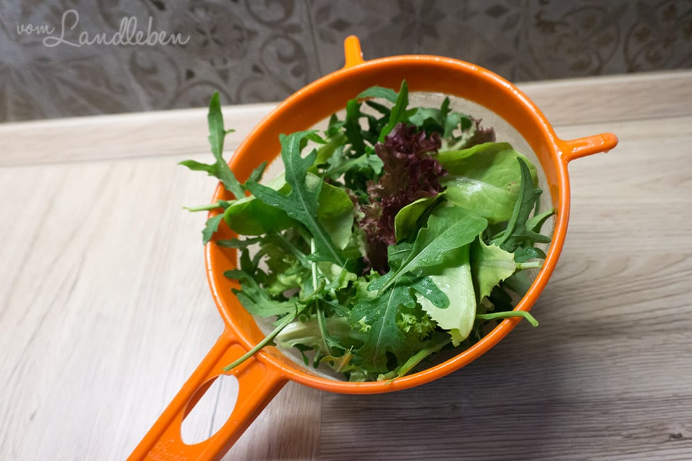 Salat aus dem eigenen Garten