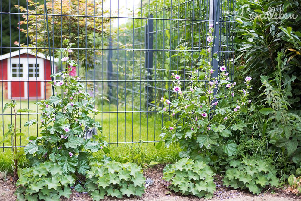 Staudenbeet im Mittelgarten
