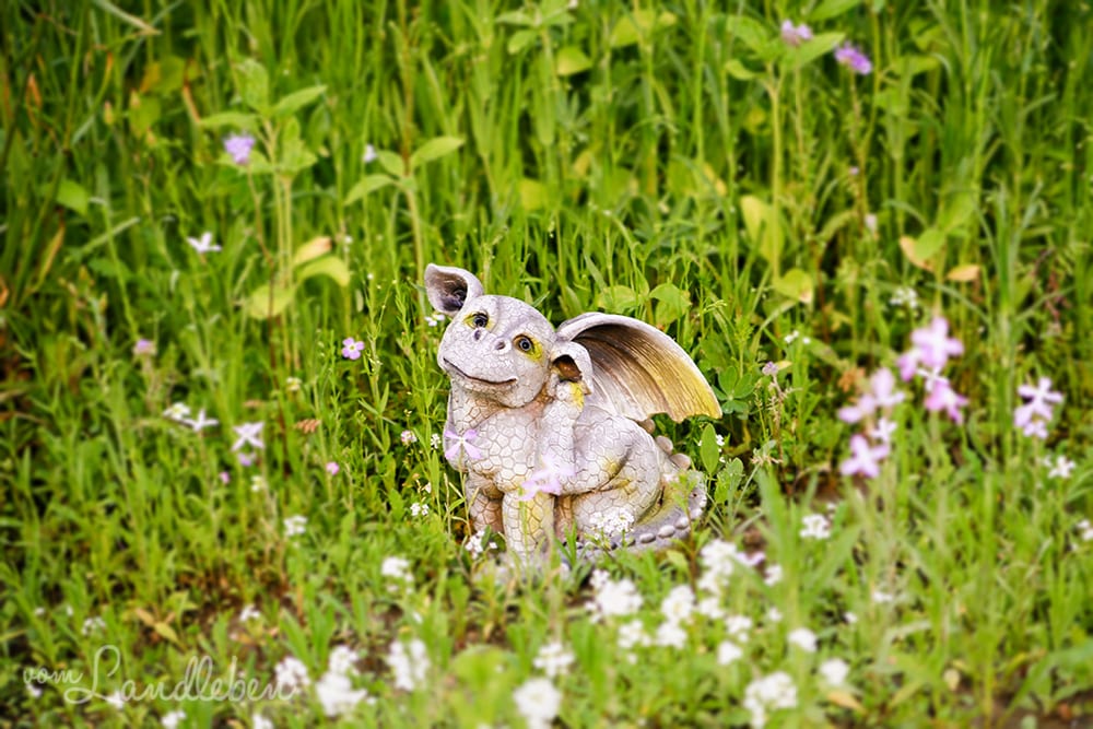 Drachen im Garten