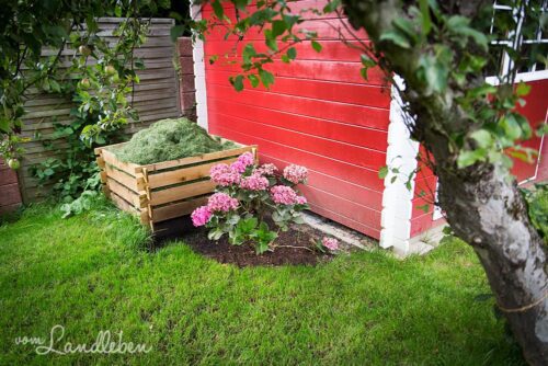 Kompost und Hortensie