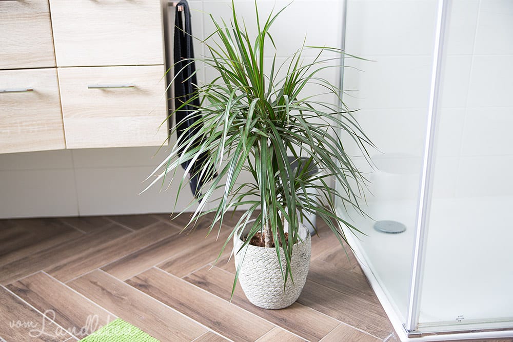 Roomtour im Danhaus: Badezimmer