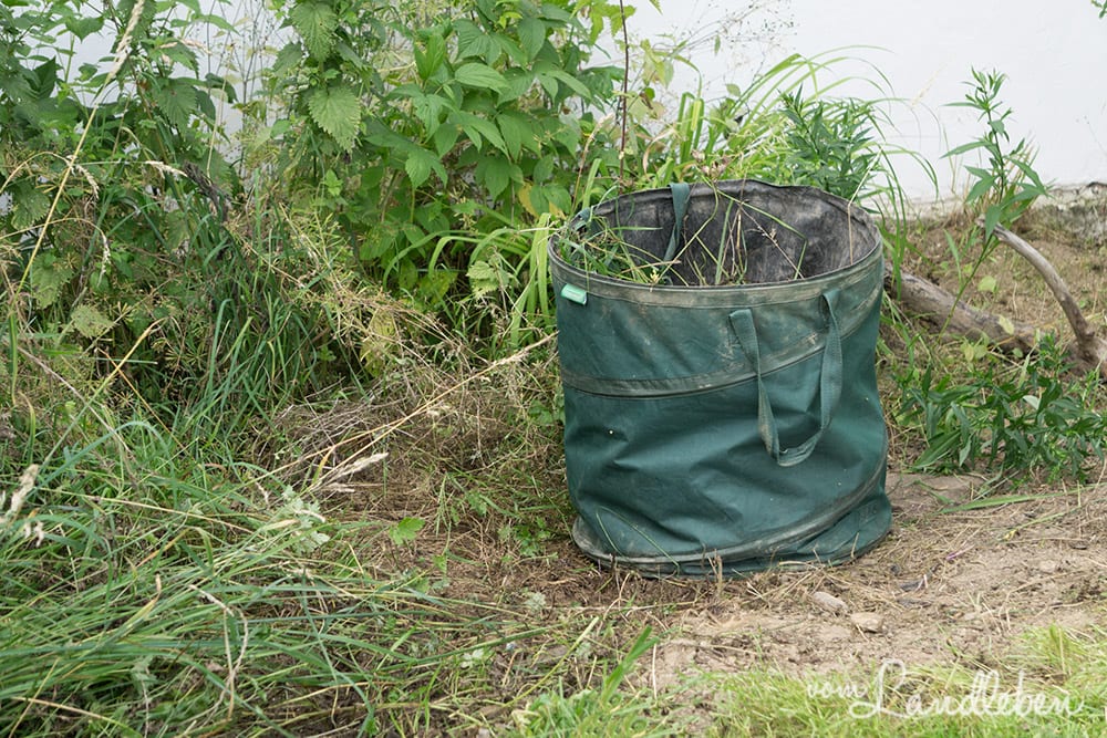 Die "Wilde Ecke" im Juli 2017