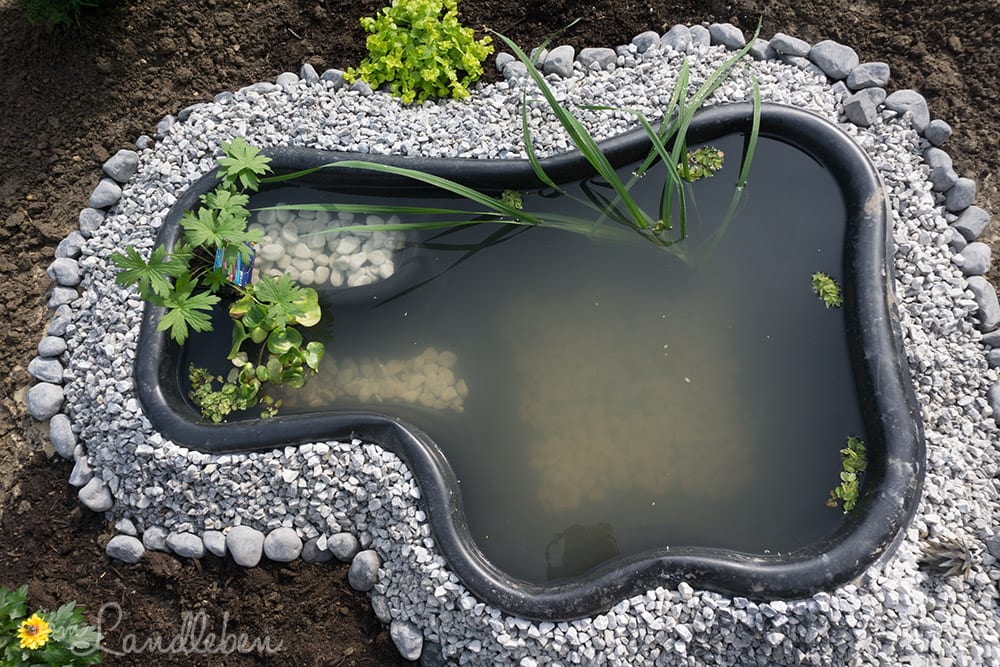 Wir bauen einen Gartenteich