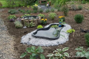 Unser Gartenteich