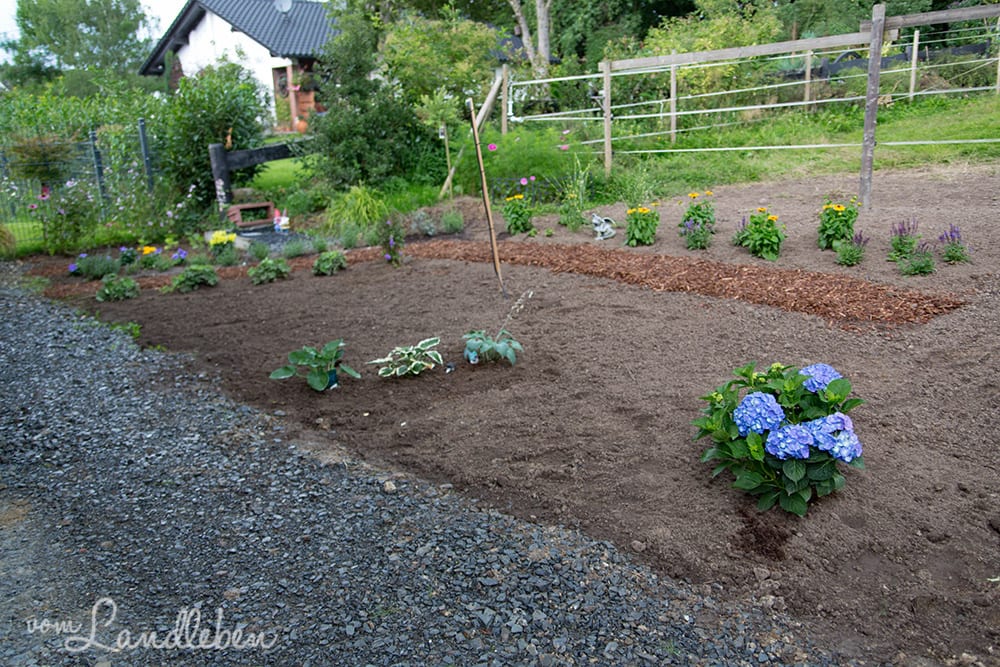 Der Mittelgarten entsteht