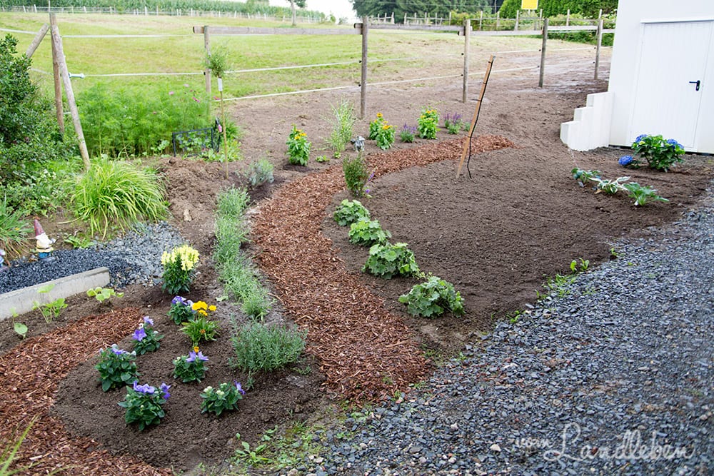 Der Mittelgarten entsteht