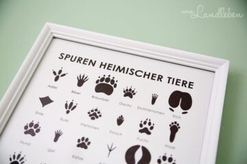 Wanddeko im Gästezimmer