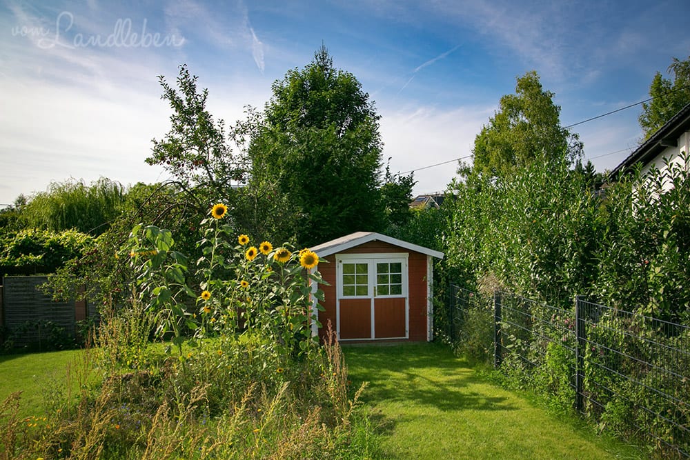 Garten im August 2017