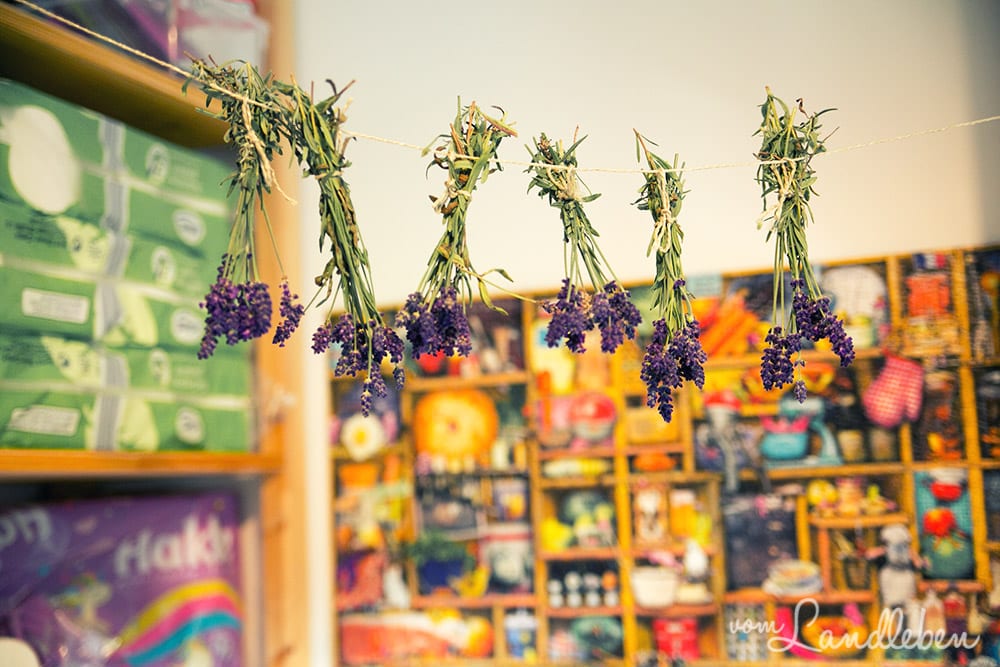 Lavendel trocknen