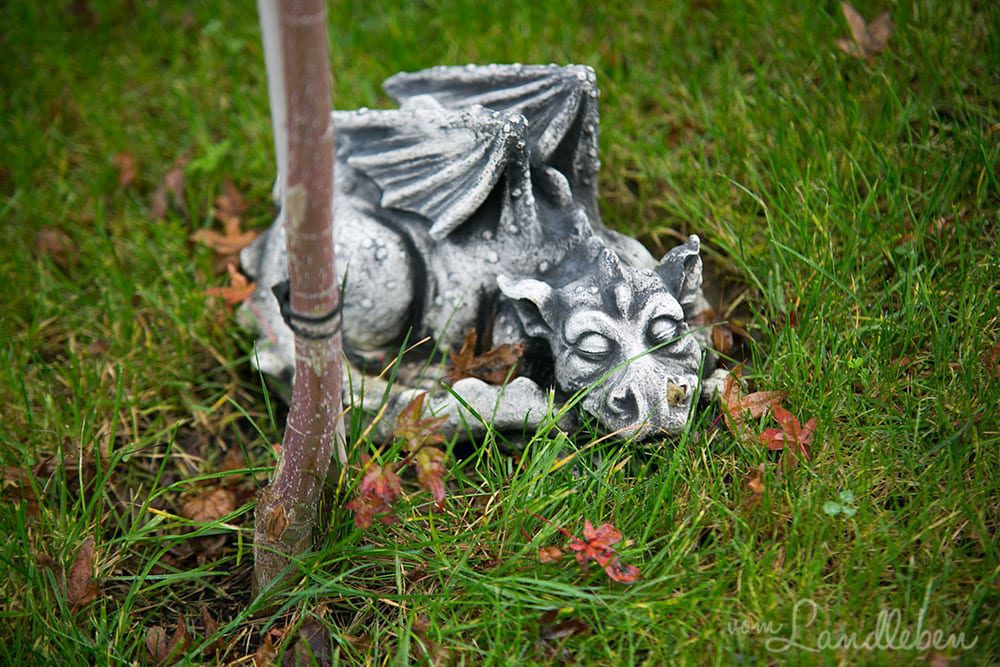 Herbst in unserem Garten