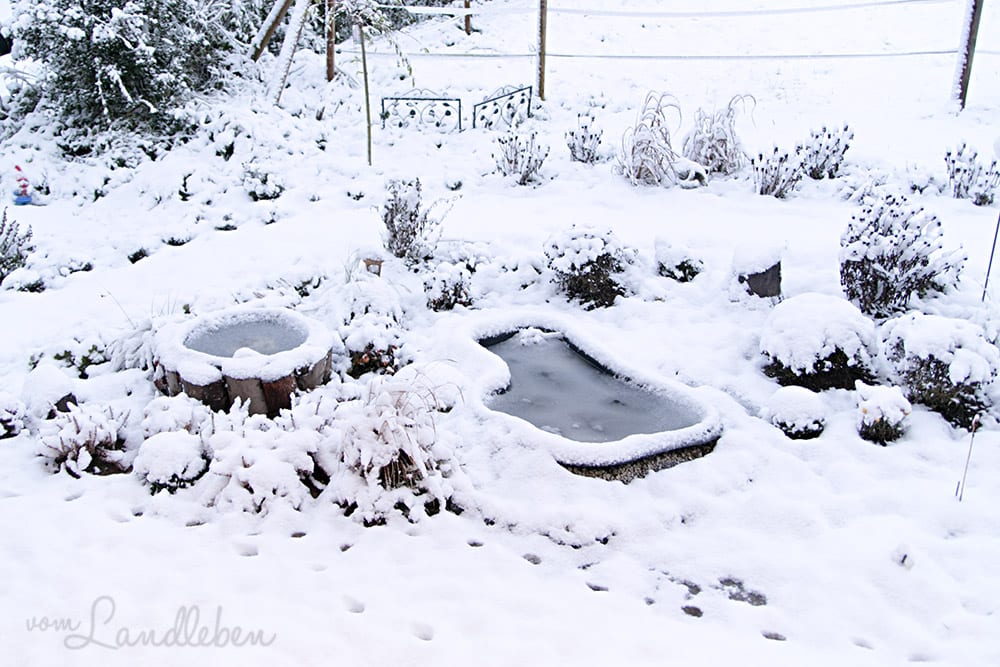 Gartenguckloch im Dezember 2017